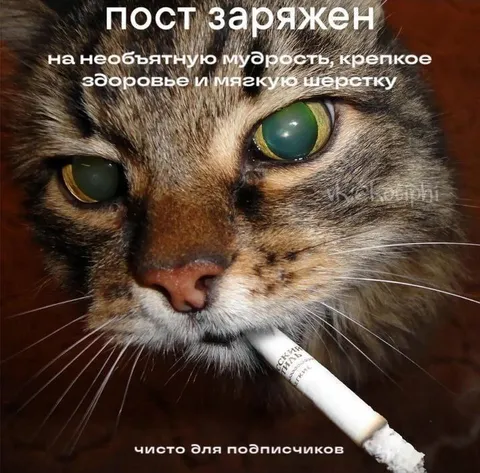 Пост заражен мудростью