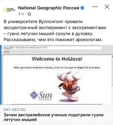 Гуано летучих мышей в духовке