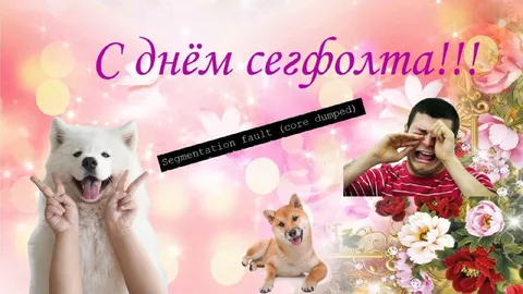 С днём сегофолта