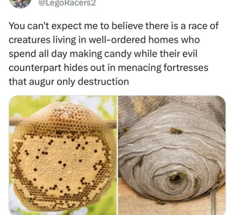 Bees Versus Their Evil Counterparts