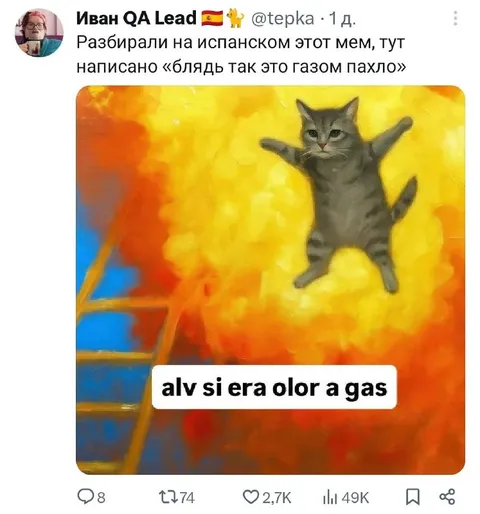 Кот почувствовал запах газа