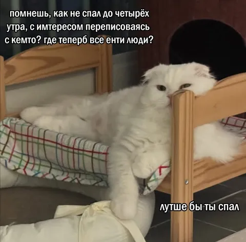 Лучше бы ты спал