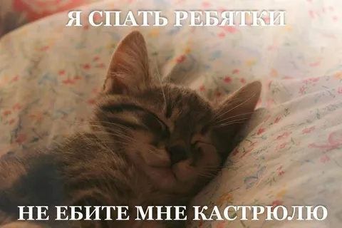 Я спать ребятки, не будите