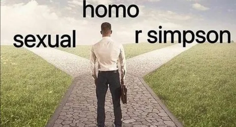 Homo Sexual or Simpson