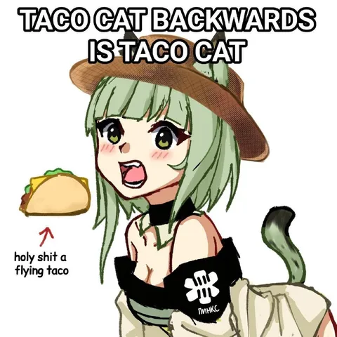 Taco Cat Backwards Is Taco Cat