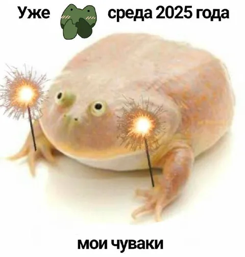 Уже среда 2025 года