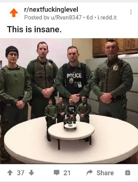 This Is Insane Recursive Police