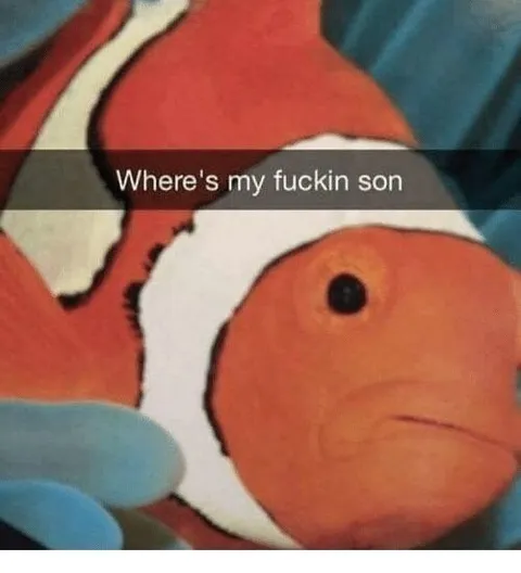 Where's My Fuckin Son