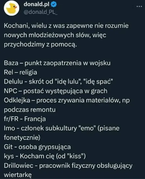 Słownik nowych młodzieżowych słów