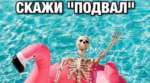 Скажи подвал