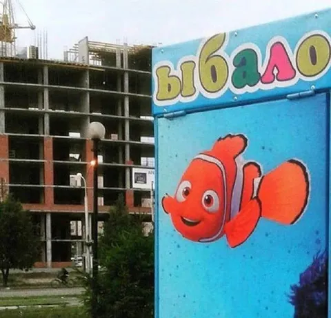 Выбало с Немо