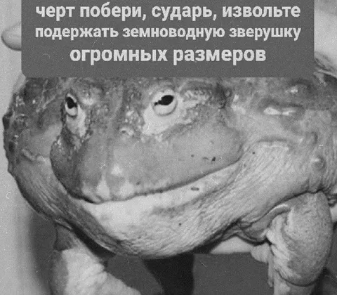 Огромная земноводная зверушка