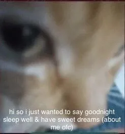 Cat Says Goodnight