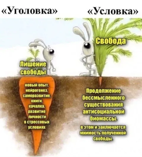Уголовка или условка