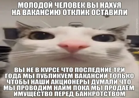 Кот и фиктивные вакансии