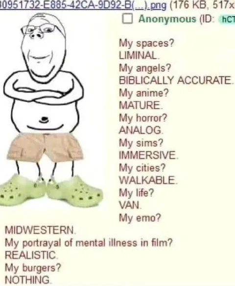 Midwestern Man’s Media Preferences