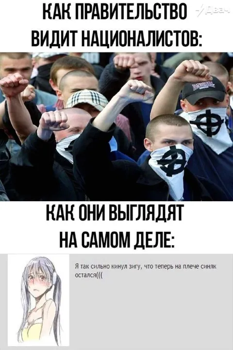 Как правительство видит националистов