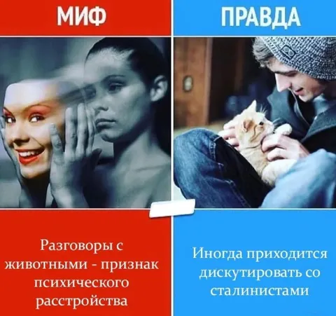 Миф и правда о разговорах с животными