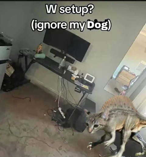 Ignore My Dog Setup