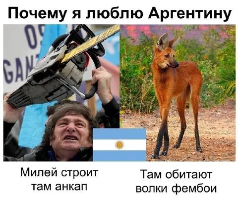 Почему я люблю Аргентину