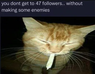 47 Followers and Enemies