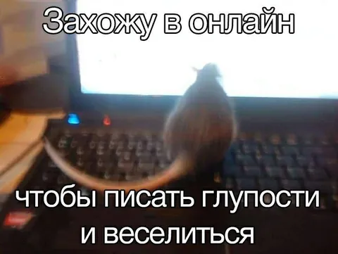 Захожу в онлайн писать глупости
