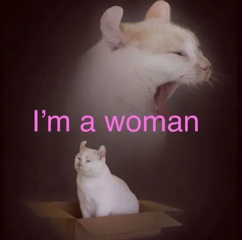 I’m a Woman Cat