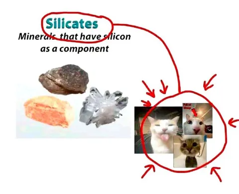 Silicates Cat Collage