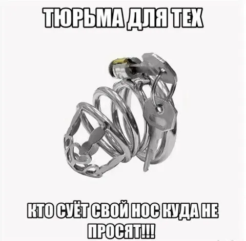 Тюрьма для любопытных носов