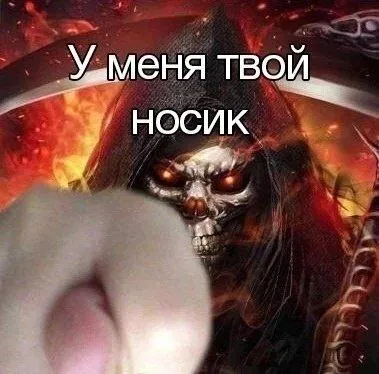 У меня твой носик