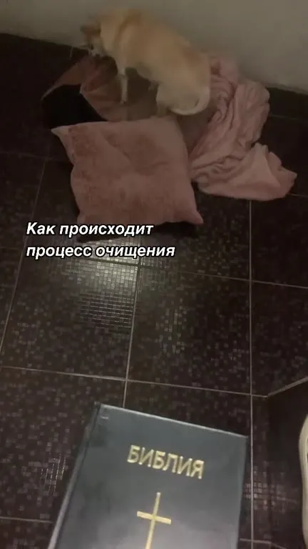 Изгнание девушки из собаки