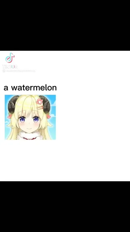 Watamelon Shopping Disaster
