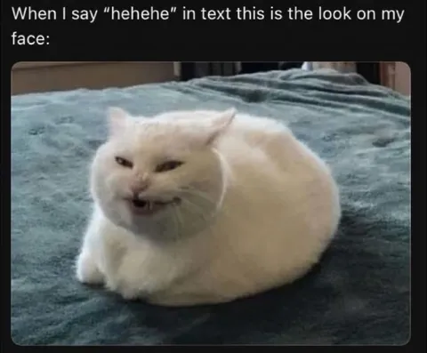 Hehehe Cat Face