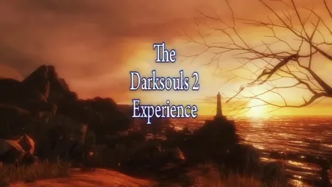 The Darksouls 2 Experience