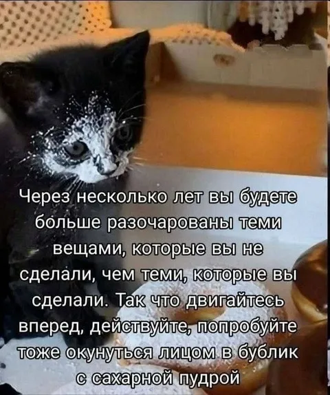 Окунуться лицом в бублик