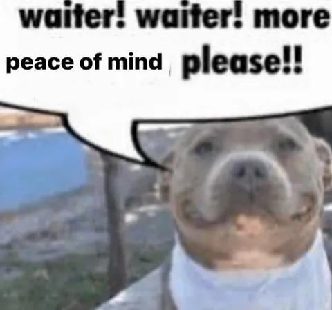 Waiter, More Peace of Mind