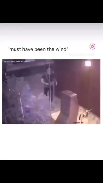 Must Have Been the Wind