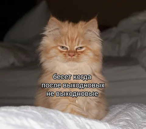 Когда выходные не выходные