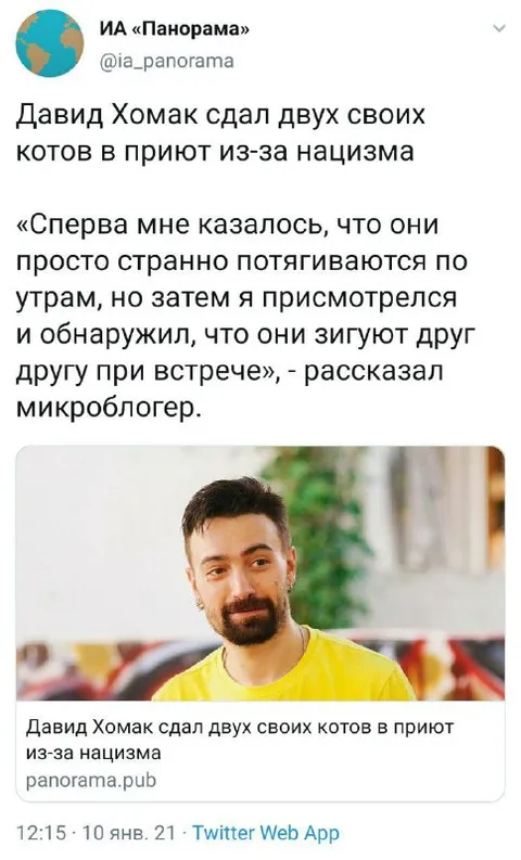 Коты зигуют при встрече