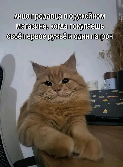 Продавец оружейного магазина