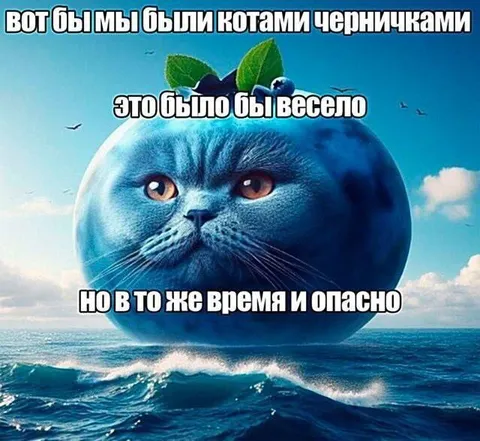 Кот-черничка в океане