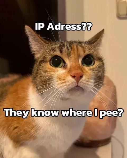 Cat Worried About Peeing Privacy