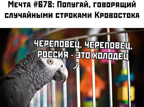 Попугай говорит случайными строками