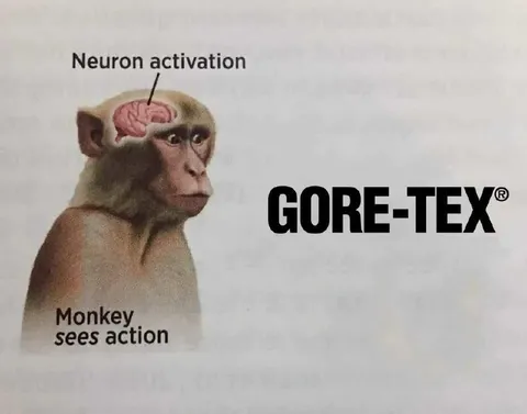 Monkey Sees Gore-Tex Action