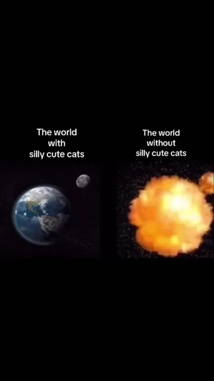 The World Without Cute Cats