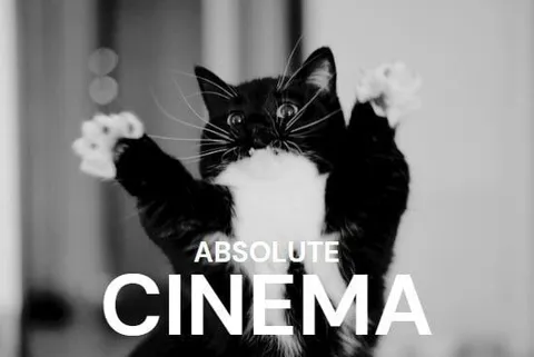 Absolute Cinema Cat