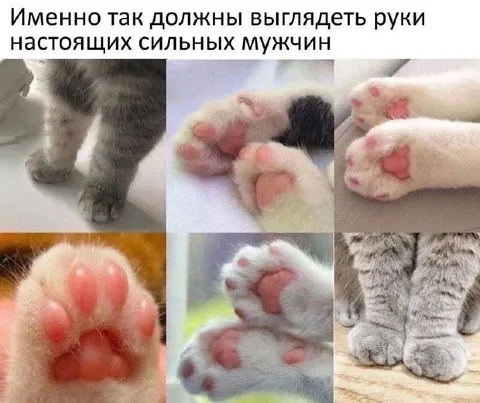 Руки настоящих сильных мужчин
