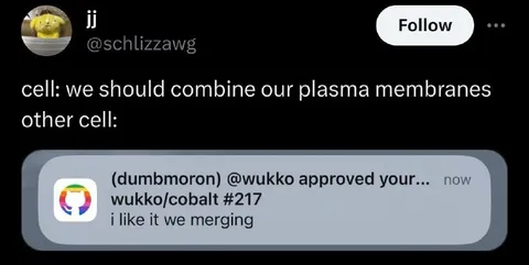 Plasma Membranes Merging