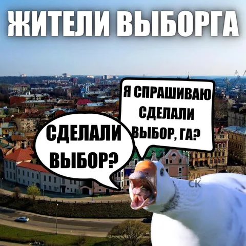 Жители Выборга сделали выбор