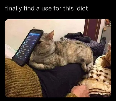 Cat Phone Stand